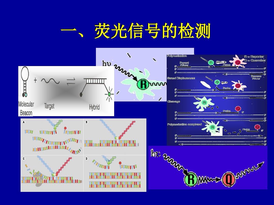 29cd09f6-f35e-4b28-afde-97c91c5ca4ce_副本.jpg 29cd09f6-f35e-4b28-afde-97c91c5ca4ce_副本.jpg