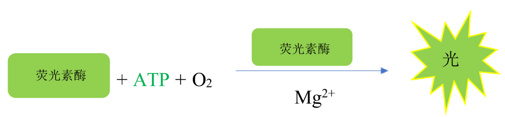 1742187563782.png