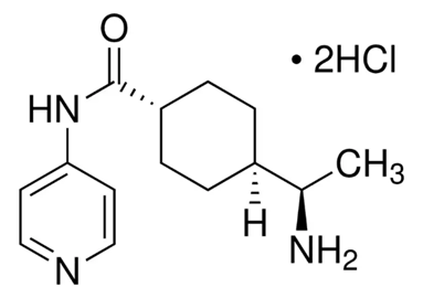 Y-27632 dihydrochloride(二盐酸盐)(图1)