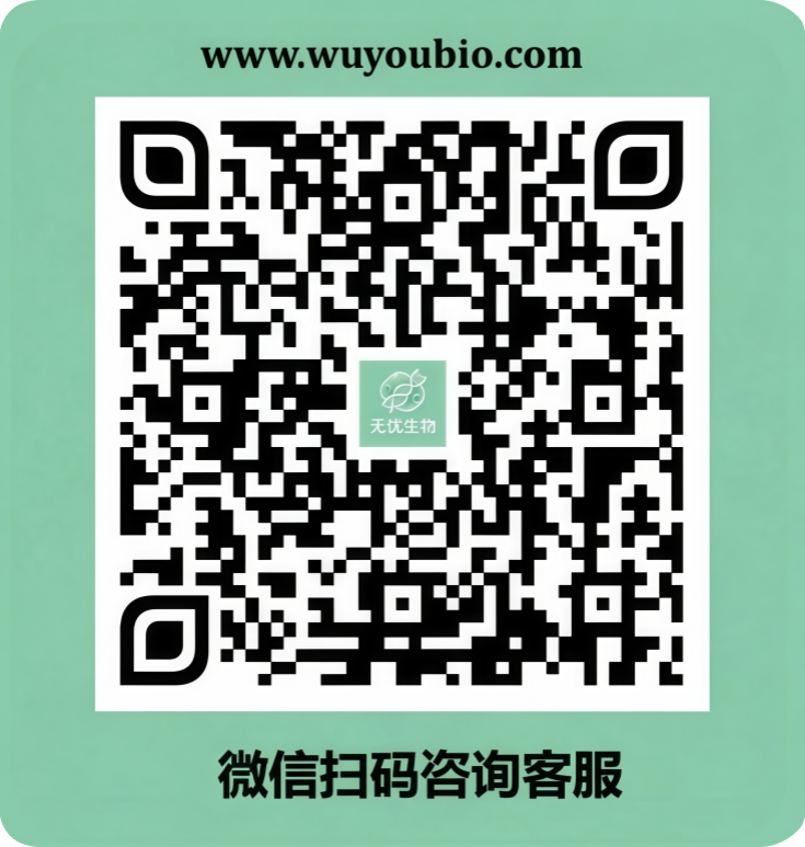 Masson染色(图1)