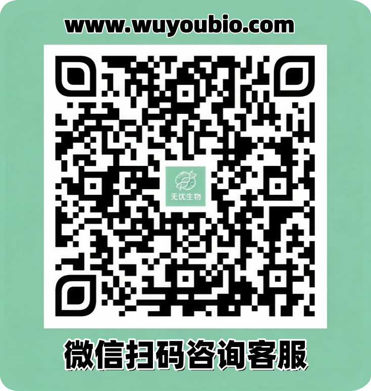 小鼠小肠类器官培养体系的优化:高/低出芽培养基的应用与选择策略(图4)