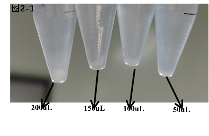 胃癌类器官培养基(JFKR-CRC-100/JFKR-CRC-500)(图6)