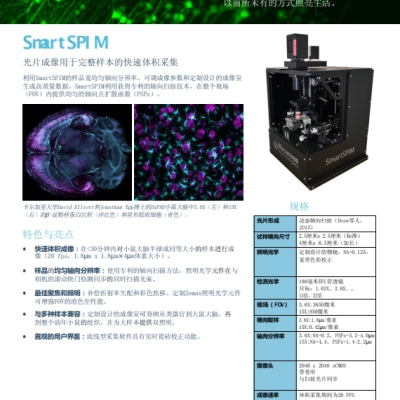 <strong>SmartSPIM技术：快速、准确且高效的3D成像技术</strong>